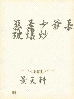 恶毒少爷长大后被爆炒