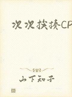 次次挨揍CPO