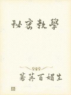 秘密教学