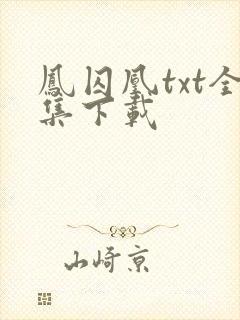 凤囚凰txt全集下载