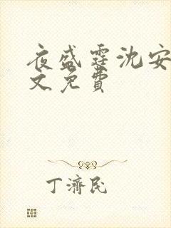 夜盛霆沈安然全文免费