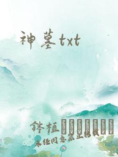 神墓txt