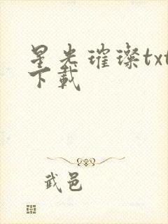 星光璀璨txt下载