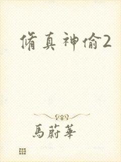 修真神偷2