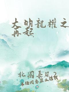 大明龙权之风云再起