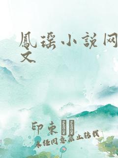 凤瑶小说网高辣文