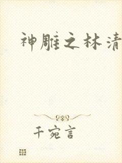 神雕之林清传