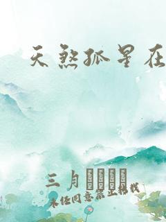 天煞孤星在后宫