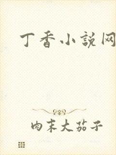 丁香小说网