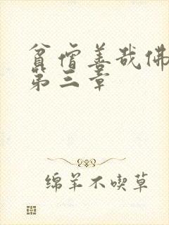 贫僧善哉佛堂H第三章