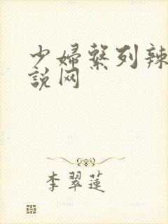 少妇系列辣文小说网