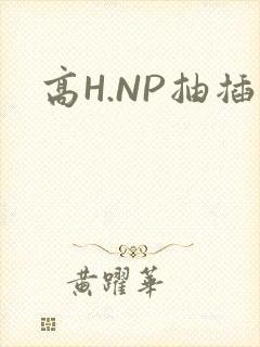 高H.NP抽插