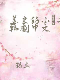 善良的小峓子2韩剧中文