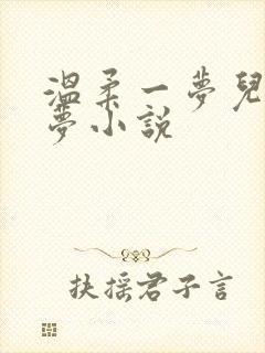 温柔一梦儿媳林梦小说