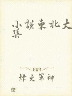 小说东北大炕全集