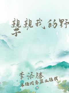 亲亲我的野猪王子