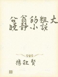 公翁的粗大放进晓静小说