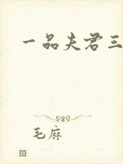 一品夫君三流妻