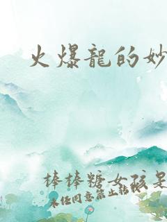 火爆龙的妙管家