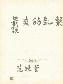 最爽的乱系列小说