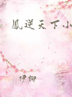 凤逆天下小说