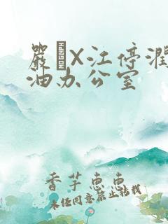 严峫X江停润滑油办公室