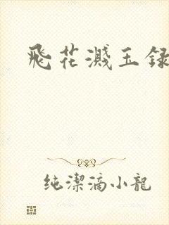飞花溅玉录