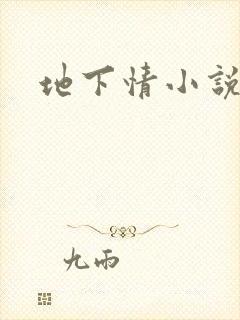 地下情小说