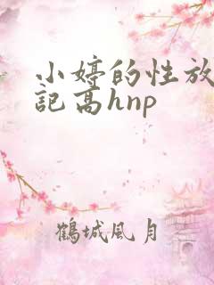 小婷的性放荡日记高hnp