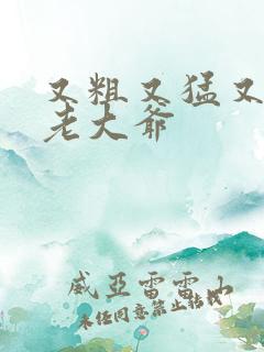 又粗又猛又大爽老大爷