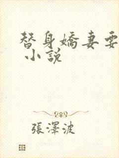 替身娇妻要离婚 小说