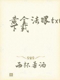 黄金法眼txt下载