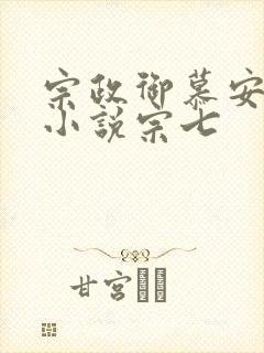宗政御慕安安的小说宗七