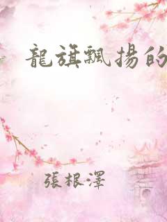 龙旗飘扬的舰队