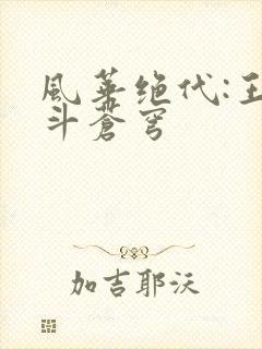 风华绝代:王妃斗苍穹