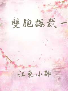 双胞总裁一个妻