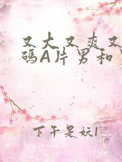 又大又爽又黄无码A片男和男