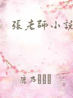 张老师小说