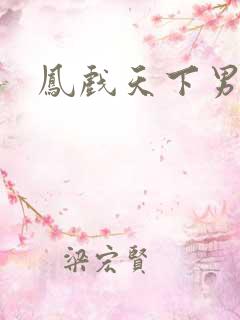 凤戏天下男