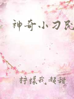 神奇小刁民