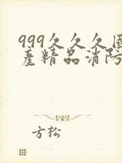 999久久久国产精品消防器材