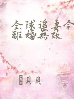 全球追妻令老婆离婚无效