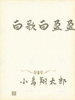 白歌白盈盈小说
