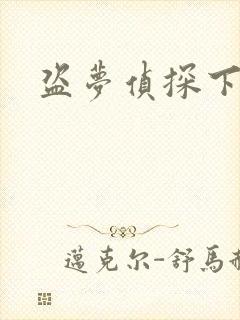 盗梦侦探下载