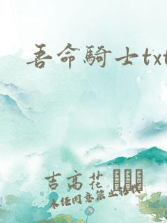 吾命骑士txt