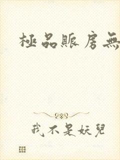 极品账房无弹窗