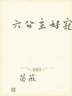 六公主好宠
