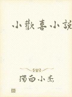 小欢喜小说