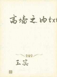 高墙之内txt
