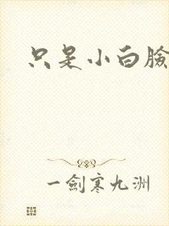 只是小白脸